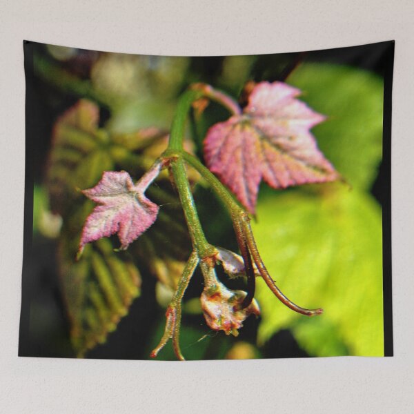 Item preview, New Leaf designed and sold by DonnaM.