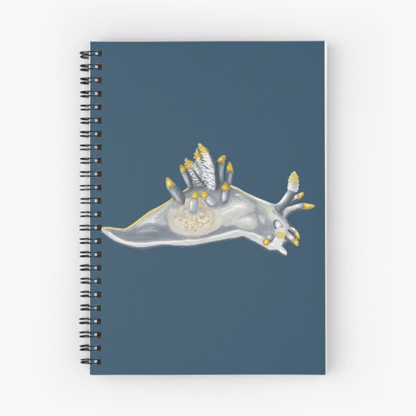 Item preview, Atlantic ancula nudibranch (Ancula gibbosa) designed and sold by Squiddllr.