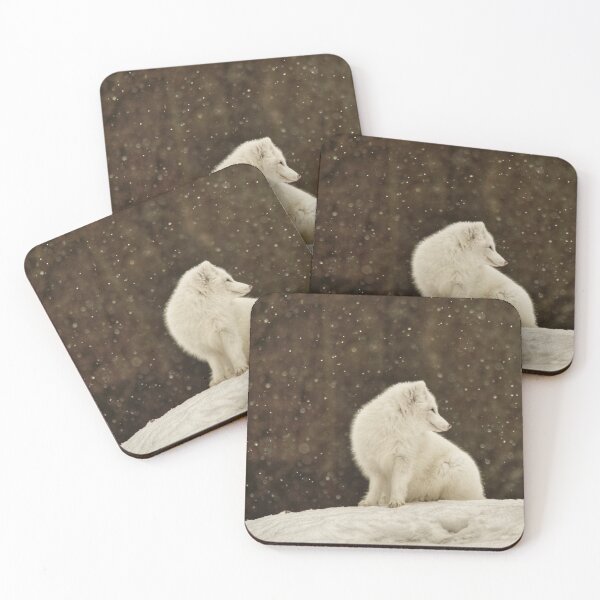 Item preview, Arctic fox #2 designed and sold by photobypj.