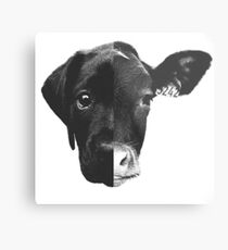 Animal Equality - (Black & White) Metal Print