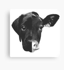Animal Equality - (Black & White) Canvas Print
