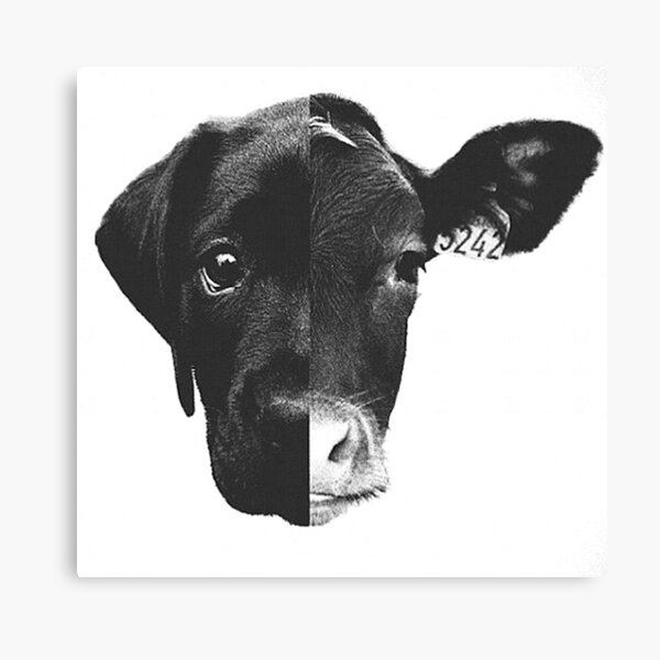 Animal Equality - (Black & White) Canvas Print