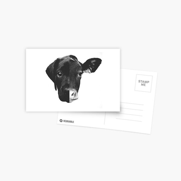 Animal Equality - (Black & White) Postcard