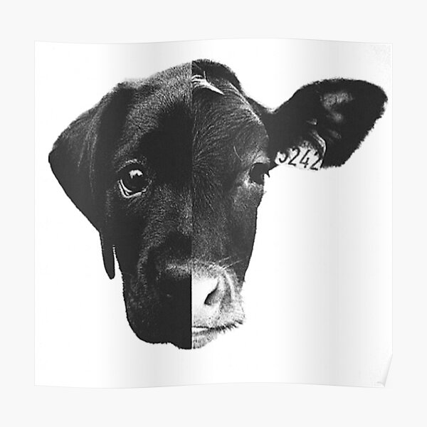 Animal Equality - (Black & White) Poster