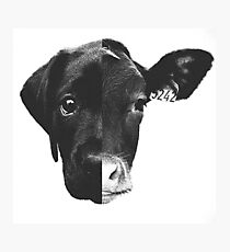 Animal Equality - (Black & White) Photographic Print