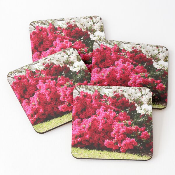 Item preview, Hot Pink And White Azalea designed and sold by Cynthia48.