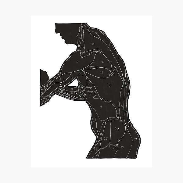 Item preview, Anatomical Study designed and sold by ChickAndHawk.