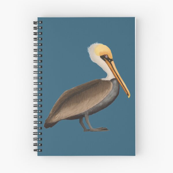 Item preview, Brown Pelican  designed and sold by Squiddllr.
