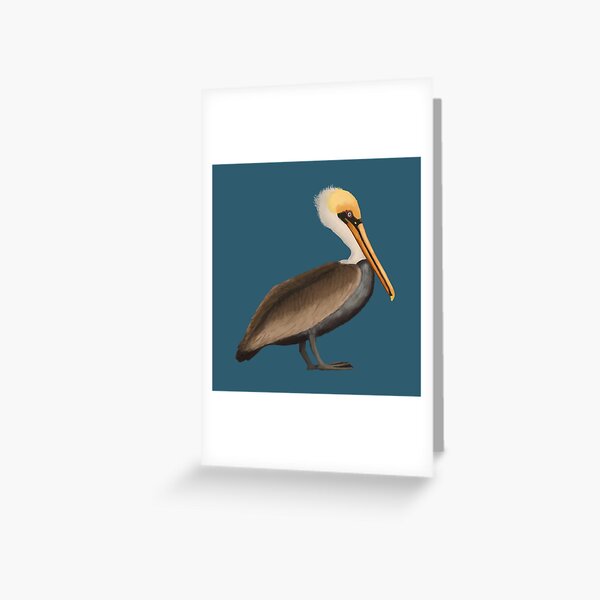 Item preview, Brown Pelican  designed and sold by Squiddllr.