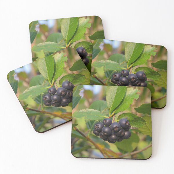 Item preview, Chokeberry berries on a branch with leaves around designed and sold by Mahirov Shop.