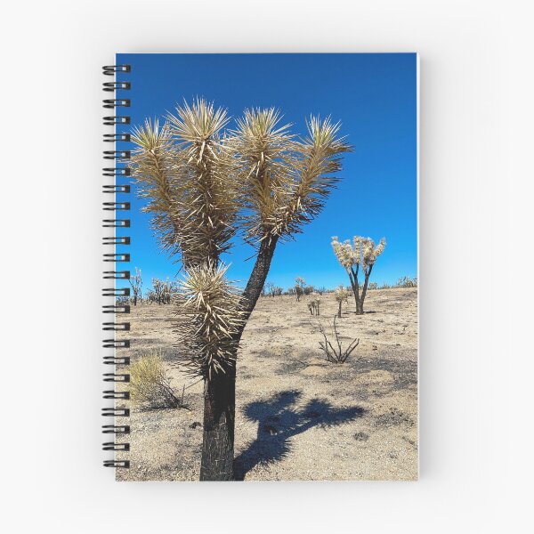 Item preview, Area of Burned Joshua Trees from the Dome Fire.  Mojave National Preserve designed and sold by Trevor and Photos.