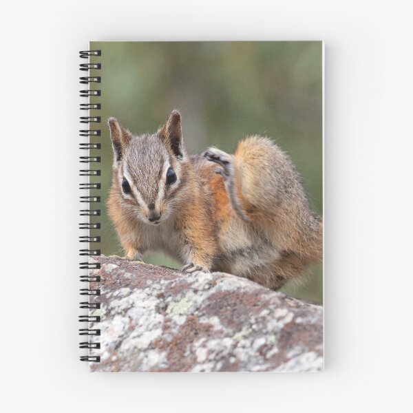 Item preview, Itchy Chipmunk designed and sold by WorldDesign.