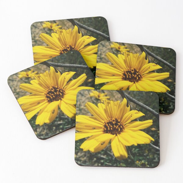 Item preview, California Bush Daisy designed and sold by homotropic.