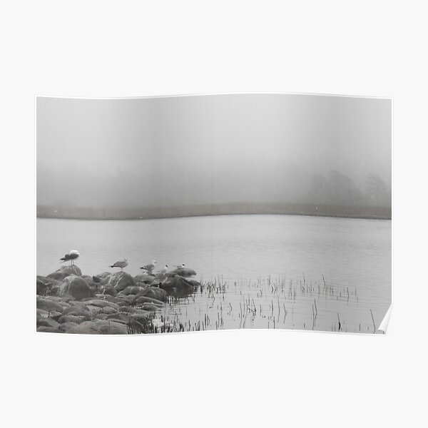 Road to a birdwatching tower 2 Poster