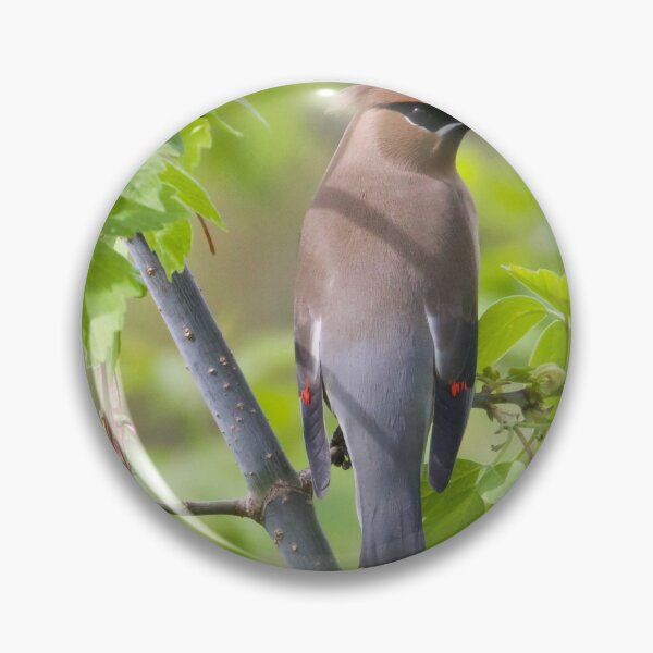 Item preview, Cedar Waxwing  designed and sold by slgphotography.