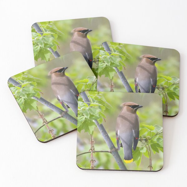 Item preview, Cedar Waxwing  designed and sold by slgphotography.