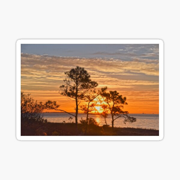 Item preview, Dauphin Island Refuge Sunrise, Alabama designed and sold by Catherine Sherman.