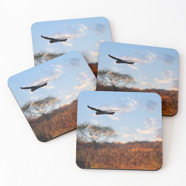 Item preview, Northern Harrier designed and sold by Kerri Ann McClellan.