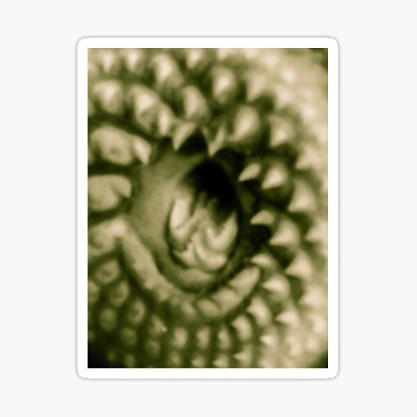 Lamprey Teeth Sticker