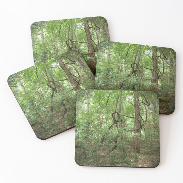 Item preview, TMP Photography • Wrangler Vine designed and sold by TMPSG.