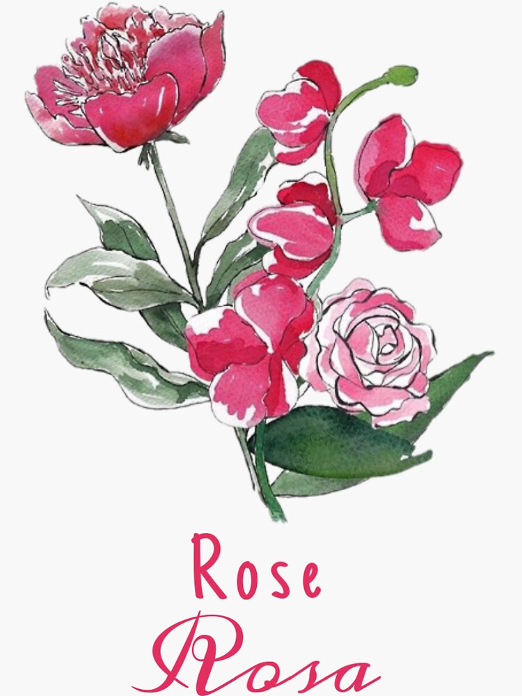 "Rose and Scientific Name" Sticker for Sale by annahlikefrozen Redbubble