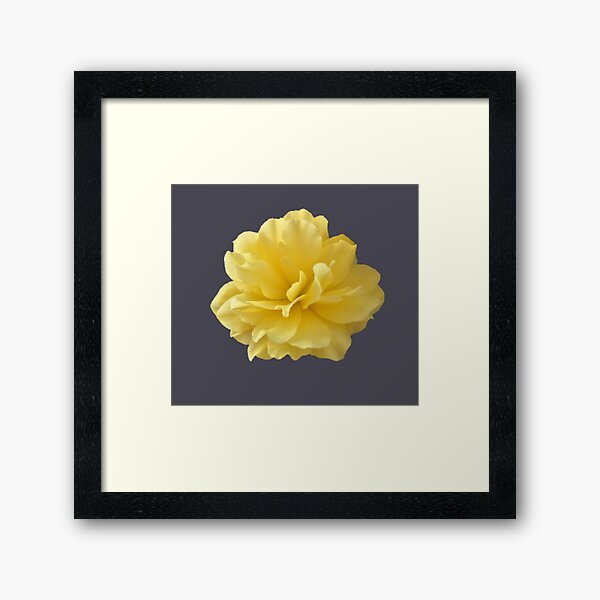 Item preview, Yellow Double Begonia Bloom Close-up 2 designed and sold by InalterataArt.
