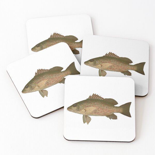 Item preview, The Mangrove Snapper, Lutjanus griseus from the Fishes of North America designed and sold by Crobin1961.