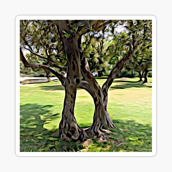 Dance of the Olive Tree Sticker