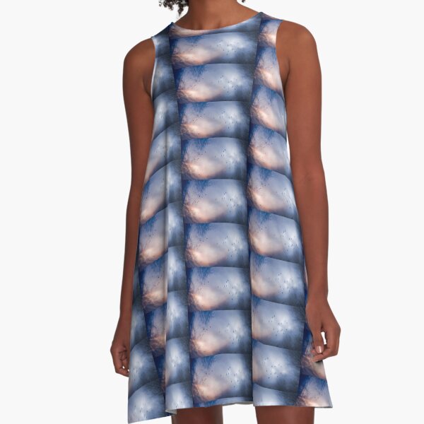 Roosting A-Line Dress