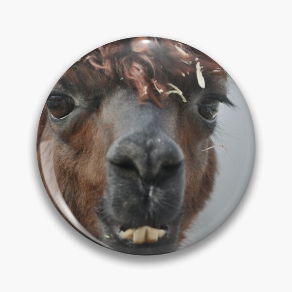 Item preview, Alpaca designed and sold by Stybz.