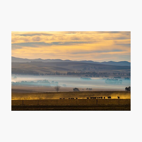 Rush Hour Photographic Print