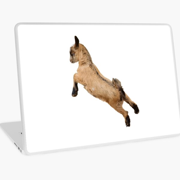Bouncy Baby Goat Laptop Skin