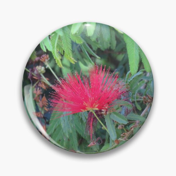 Item preview, Red acacia  designed and sold by greentiger1.
