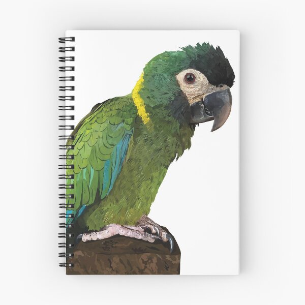 Item preview, Gold-necked macaw designed and sold by obscurite.