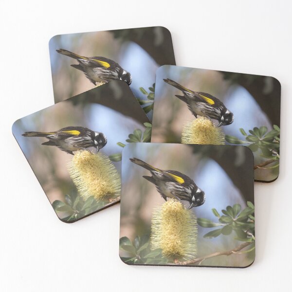 Artikelvorschau, New Holland Honeyeater entworfen und verkauft von MargsNaturePix.