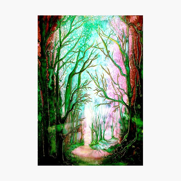 Emerald Forest Photographic Print