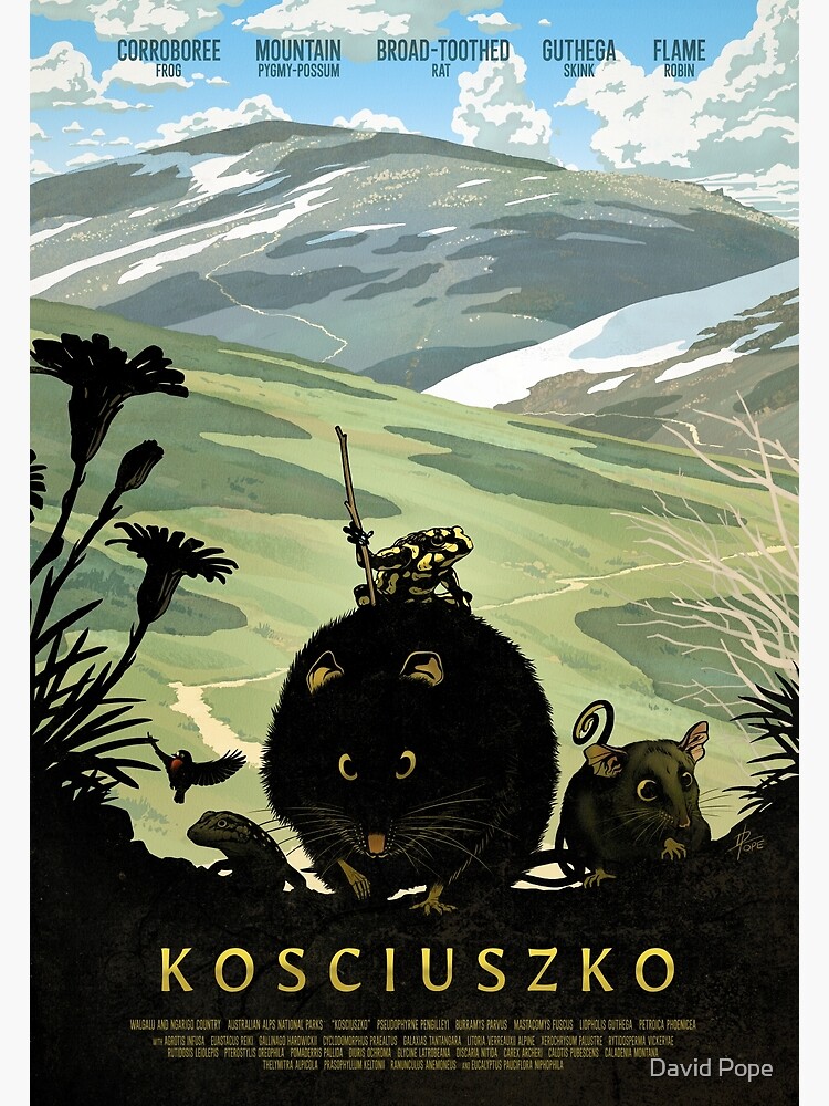 The summit track - Kosciuszko poster series, #1 by hinze
