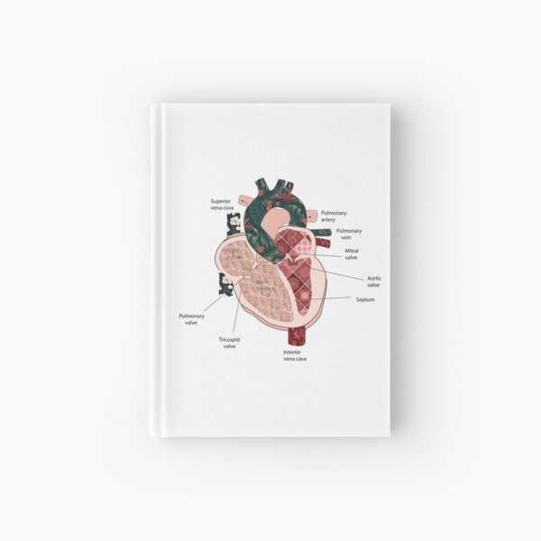 Notizbucher Anatomie Herz Redbubble