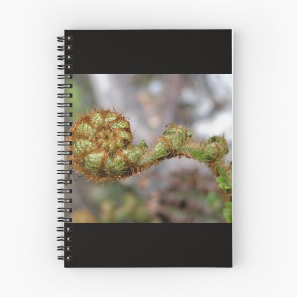 Item preview, New fern frond with Insect, Cradle Mountain,Tasmania, Australia. designed and sold by kaysharp.