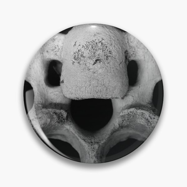 Item preview, Vertebra View 1  designed and sold by Geoff Treagus.
