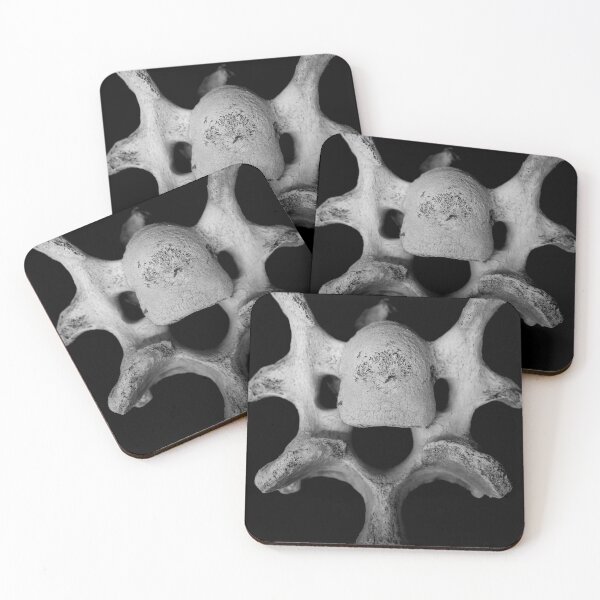 Item preview, Vertebra View 1  designed and sold by Geoff Treagus.