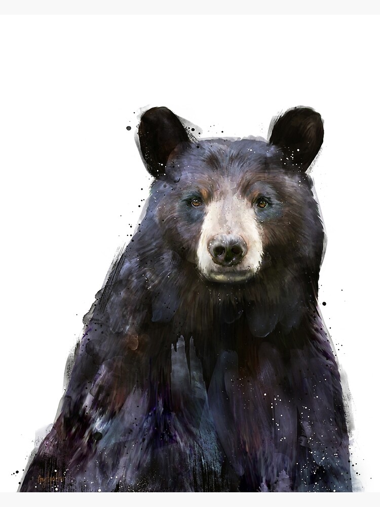 Black Bear by AmyHamilton