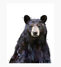 Black Bear Photographic Print