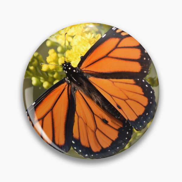 Item preview, Monarch Butterfly 100320 designed and sold by Tonia Delozier's Photography .