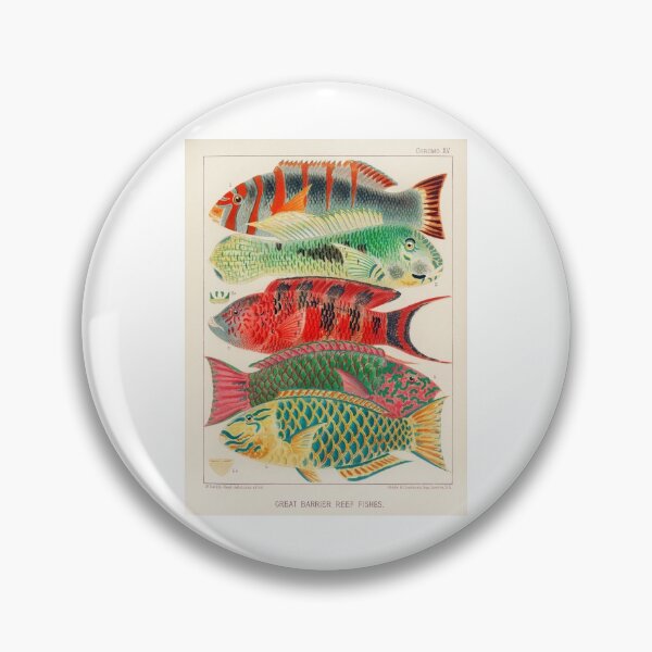 Item preview, GREAT BARRIER REEF - Vintage Fish Illustration by William Saville-Kent designed and sold by Go Logo Designs.