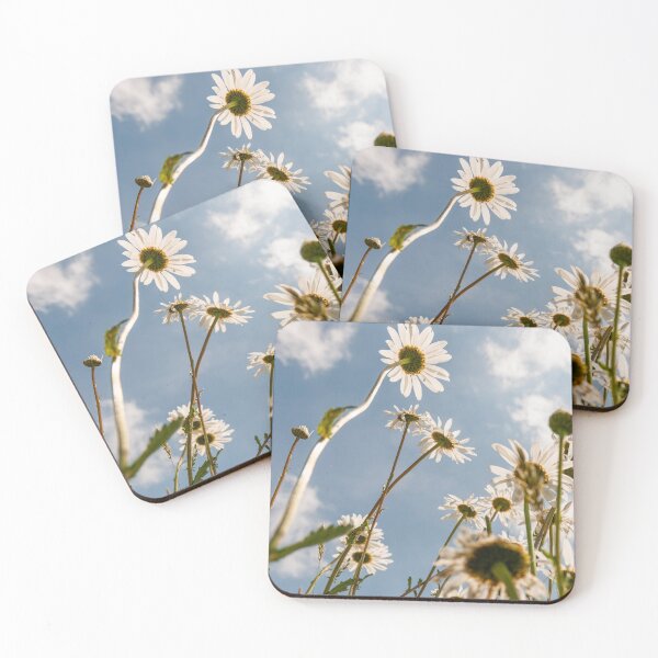 Item preview, Blooming marguerites designed and sold by Ingo Gerlach.