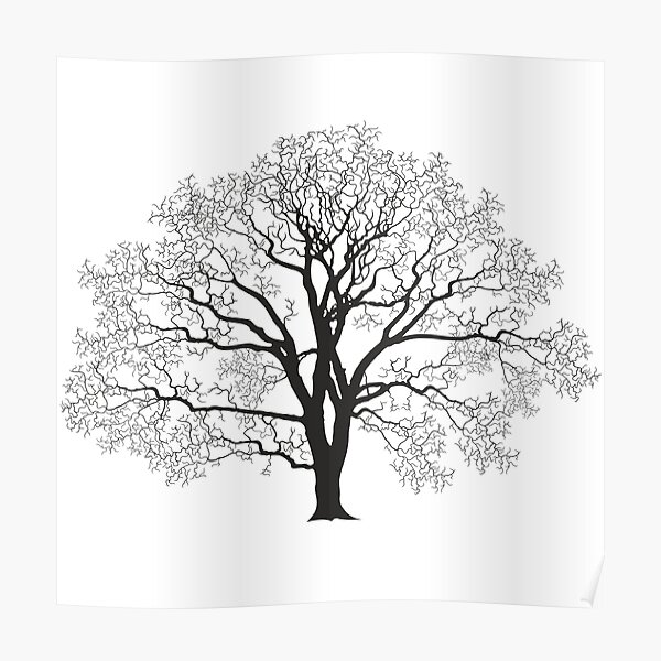"Plant a tree of life Tree of life hugger, Outline Tree Of Life