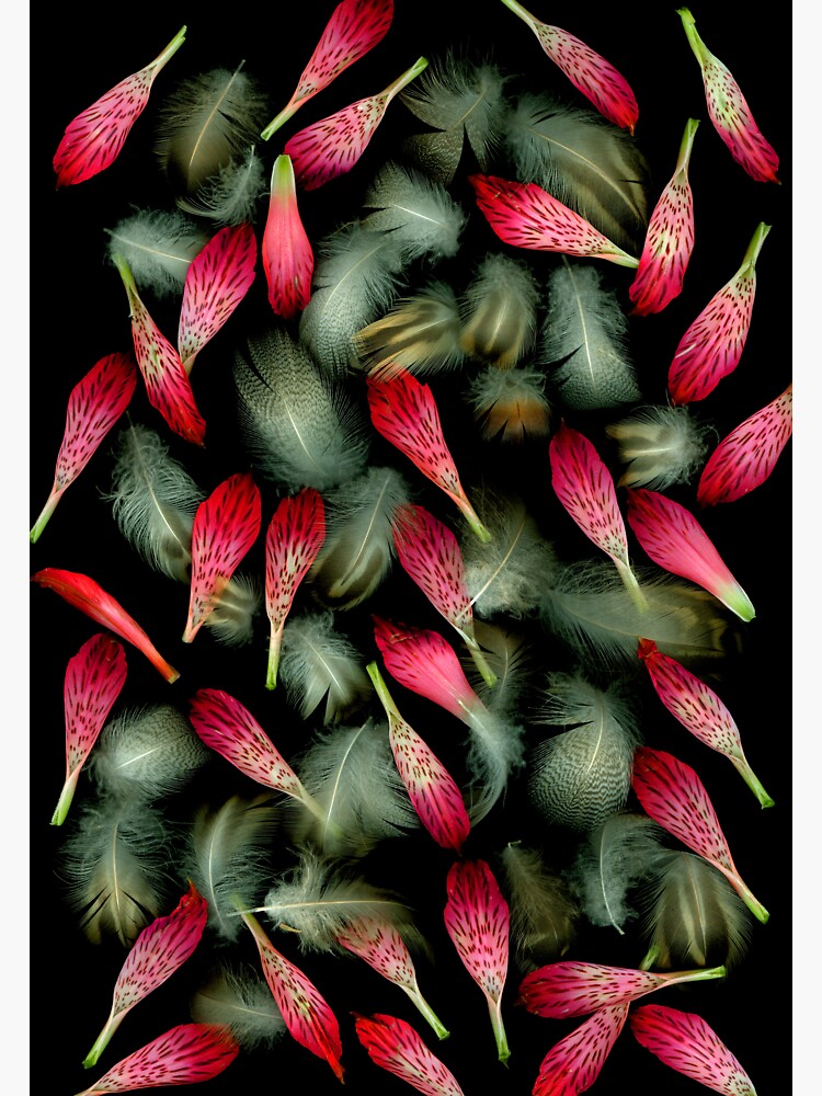 Thumbnail 3 of 3, Sticker, Petal Duet 1 Dark Floral designed and sold by LindasPhotoArt.