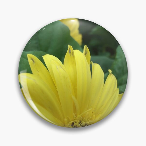 Item preview, Flowers -yellow petal sunflower - nature, spring 2021 - BIPHOTO #ilonabarabiphotonews - Saint Tropez, France designed and sold by BIPHOTONEWS.