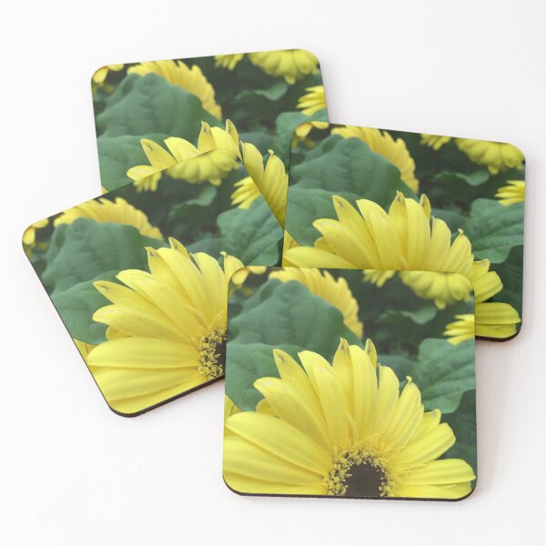 Item preview, Flowers -yellow petal sunflower - nature, spring 2021 - BIPHOTO #ilonabarabiphotonews - Saint Tropez, France designed and sold by BIPHOTONEWS.